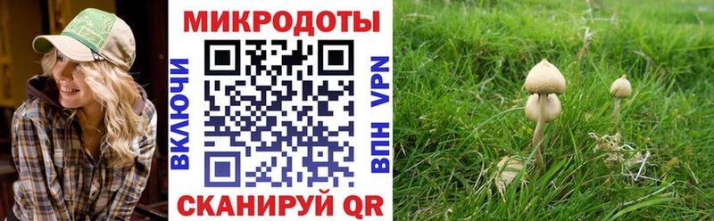 Псилоцибиновые грибы Cubensis  ОМГ ОМГ ссылки  Гаджиево 