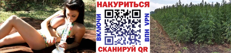 Бошки марихуана сатива  наркота  Гаджиево 
